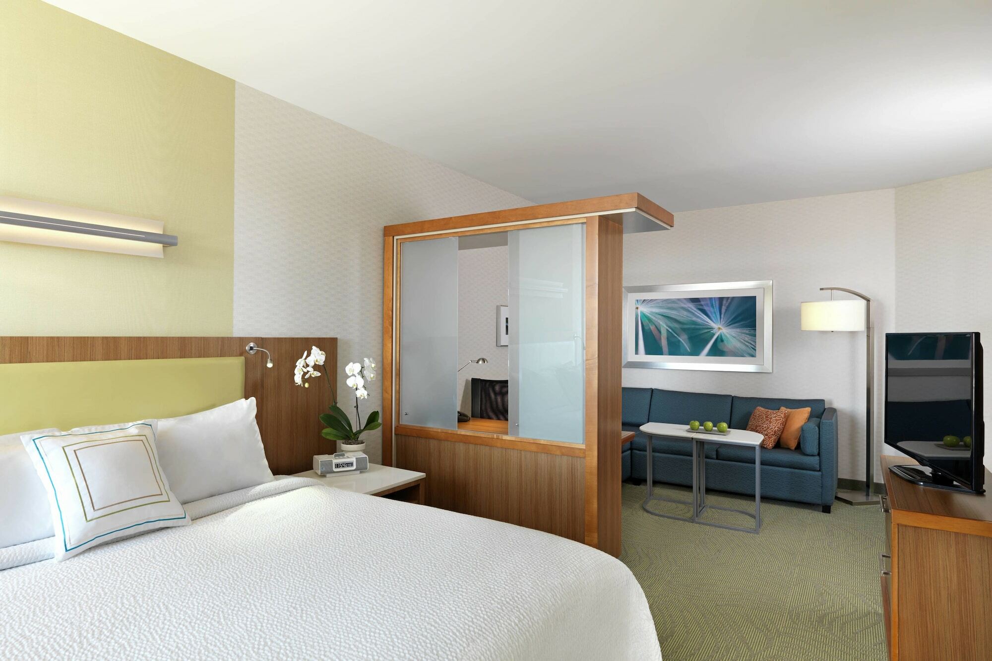 Springhill Suites By Marriott Hampton Portsmouth Extérieur photo