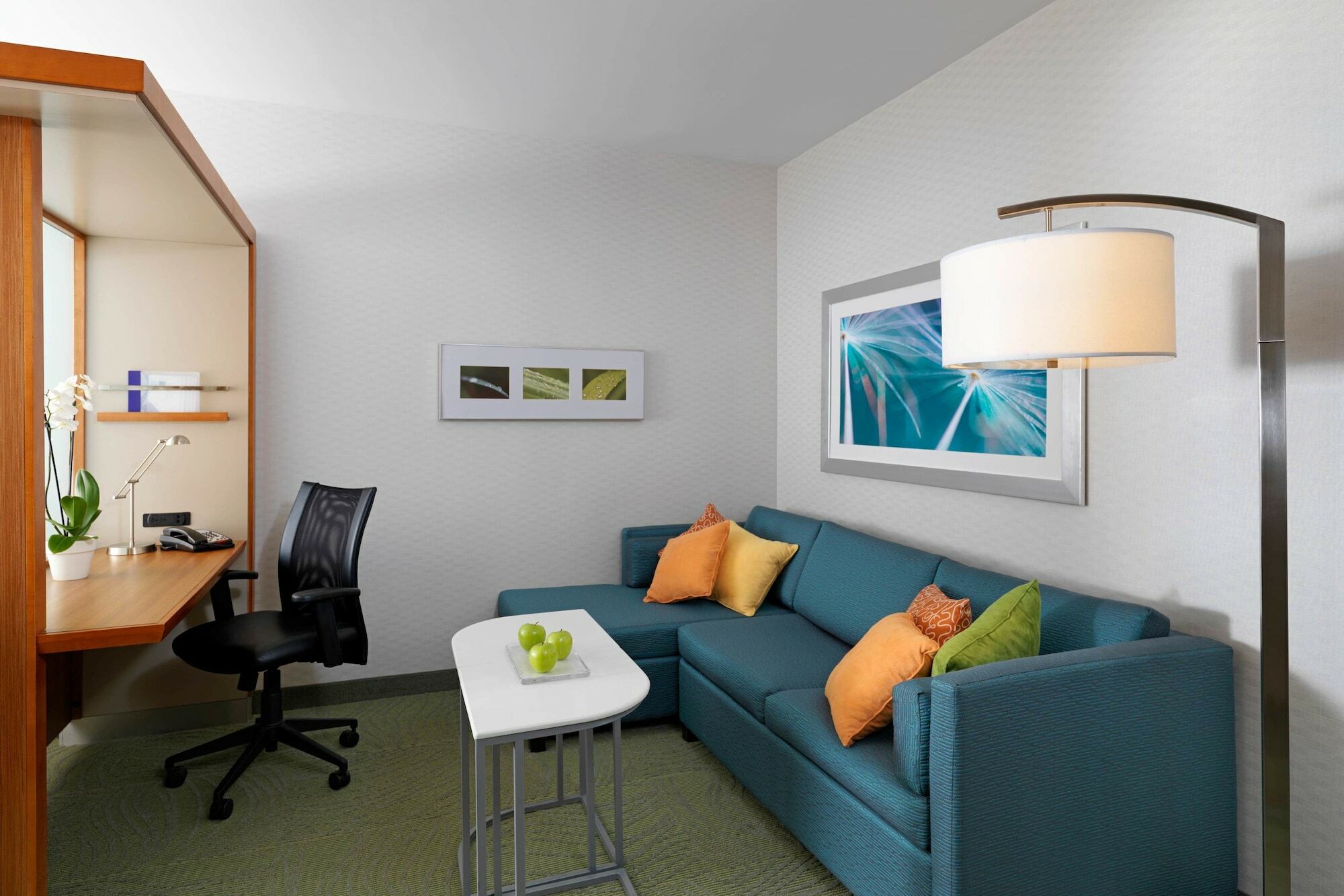 Springhill Suites By Marriott Hampton Portsmouth Extérieur photo